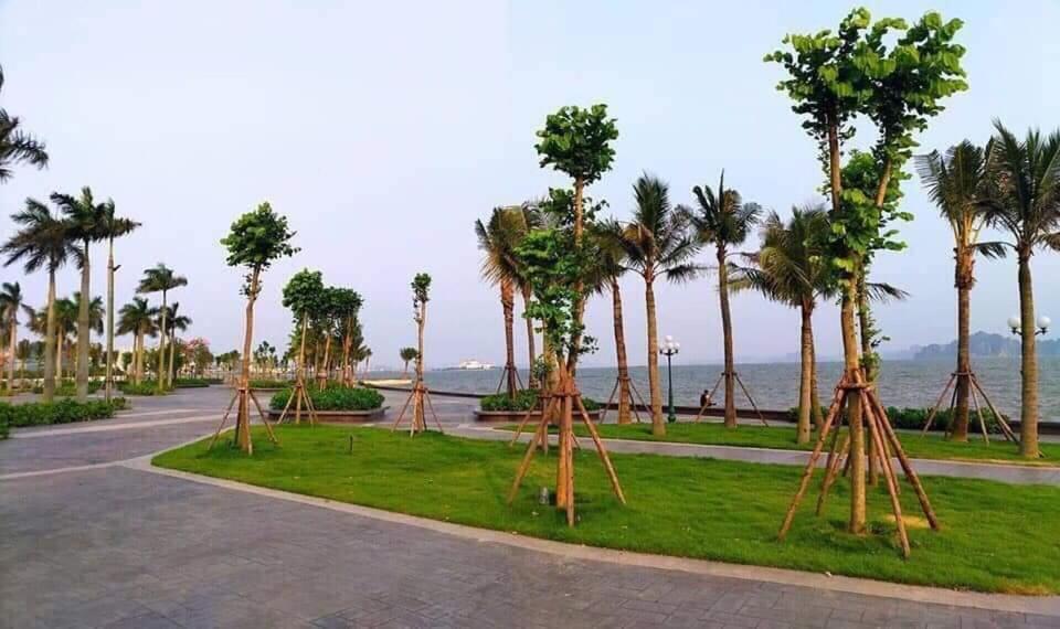 Sonny Homestay 2 -Can Lien Ke 5Pn -Khu Greenbayvillage - Duong Hoang Quoc Viet -Trung Tam Kdl Bai Chay Ha Long Luaran gambar